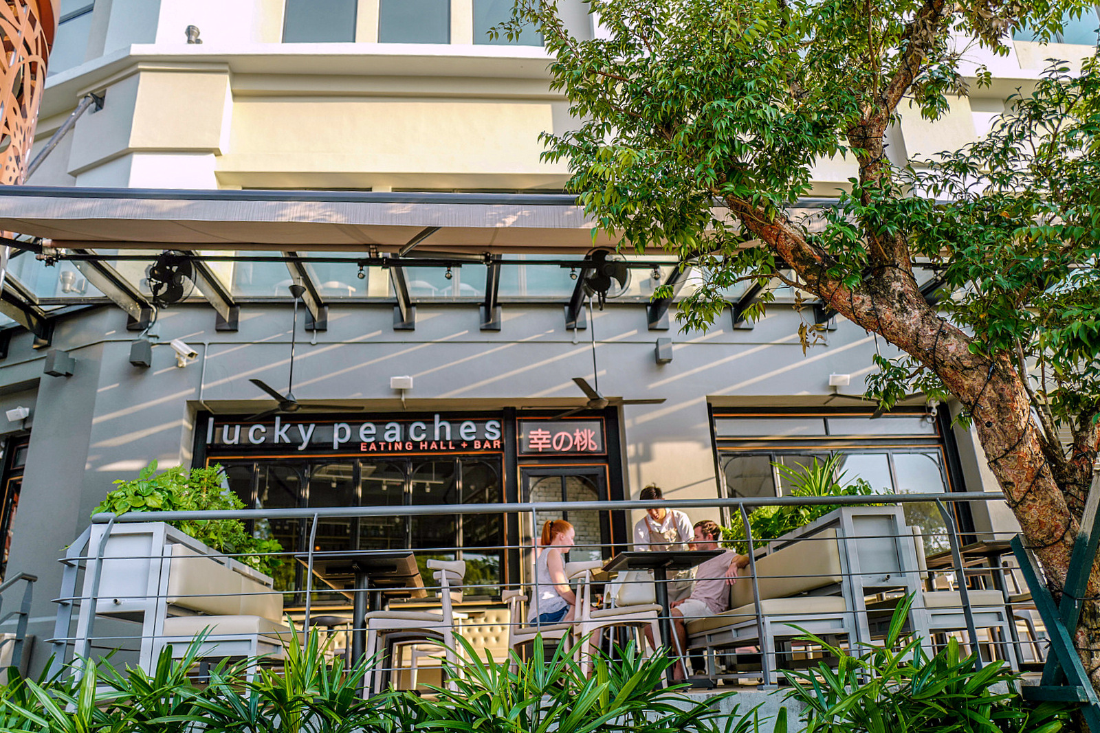 Ring in a Lucky Chinese New Year with Lucky Peaches